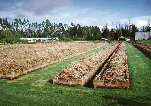Lechos gemelos construidos en ladrillo. Criadero Centro de Investigación y Desarrollo de Lombricultura, Ecuador.